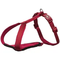 Trixie Y Premium Hundesele