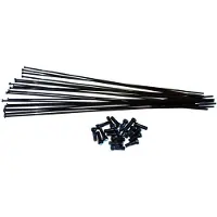 Vision Team 81 Sl 231-242 Mm Eiker