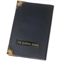 Noble Collection Harry Potter Daglig Replika Av Tom Riddle