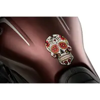 Puig Skull Tankbeskytter