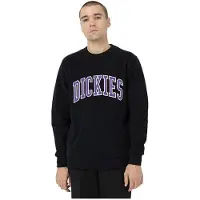 Dickies Aitkin Collegegenser