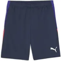 Puma individualLIGA Training Shorts Men, Clothing, Club Navy, XS