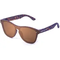 Blueball Sport Templier Solbriller
