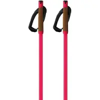 Fischer Storm Gtx M Spaserstokker