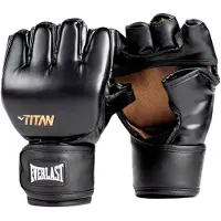 Everlast Titan Mma-kampsportshanske