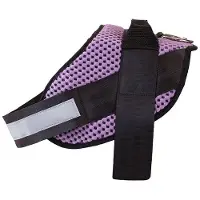 Bull Strong Happy Pets Hundesele