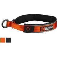 Non-Stop Dogwear Cruise Collar, Orange, XL