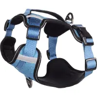 Flamingo Heron Hundesele