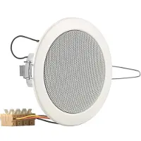 Visaton VS-DL10V, 1.0 kanaler, Koblet med ledninger (ikke trådløs), 6 W, 75 - 20000 Hz, Hvit