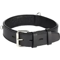 Flamingo Rondo Riveted Hundehalsbånd