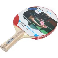 Quint Angel Sports bordtennisracket