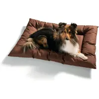 Hunter Pet Gent Madrass