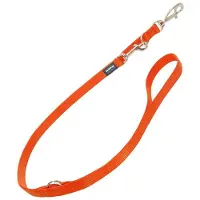 Red Dingo Fest 2 Kroker