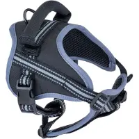 TIAKI sele for hund - M: ca. 48-65 cm halsomkrets