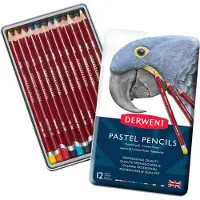 Derwent Metallisk Pastellblyant 12 Enheter