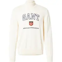 Gant for man. 8030224 Graphic beige jumper (L), Casual, Cotton