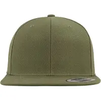 Flexfit Classique Cap