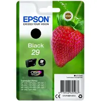 Epson 29 Black Ink