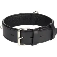 Flamingo Rondo Riveted Hundehalsbånd