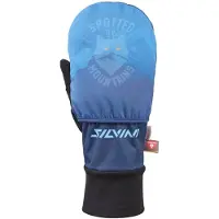 Silvini Montignoso Votter