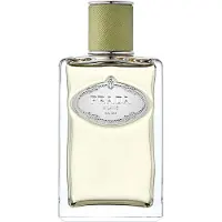 Prada Les Infusions De Vetiver Eau De Parfum 100ml Unisex Spray