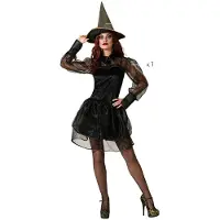 Carnival Toys Heksedamekostyme