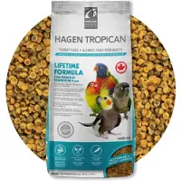 Tropican Livstid Vedlikehold Av Nymfer