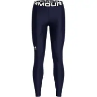Under Armour Heatgear Authentics Leggings