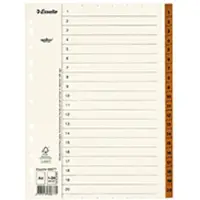 Esselte Register Servo A4/1-20, 10 stk.