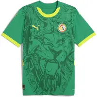 Puma Senegal 2025 Away Jersey Men, Clothing, Sport Green/Electric Lime, 3XL