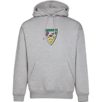 Volcom FA Fergadelic Hettegenser grå