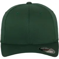 Flexfit Wooly Combed Cap
