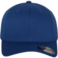 Flexfit Wooly Combed Cap
