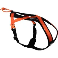 NON STOP Rush Hundesele