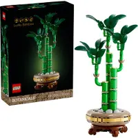 LEGO Botanicals 10344 Lykkebambus