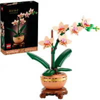 LEGO Botanicals 10343 Miniatyrorkidé