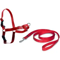 Nayeco Easy Walk Hundesele