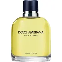 Dolce&Gabbana Pour Homme Eau De Toilette 75 ml (man)
