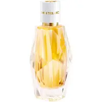 Mont Blanc Signature Absolue 30ml Eau De Parfum