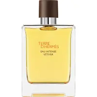 Hermès Paris Terre Intense Vétiver 100ml Eau De Parfum