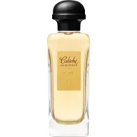 Hermès Paris Caleche 100ml Eau De Toilette