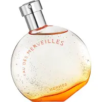 Hermès Paris Eau Des Merveilles 50ml Eau De Toilette