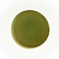 Marset LED-vegglampe Caramel, grønn, Ø 38 cm, TRIAC, glass