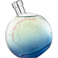 Hermès Paris L'Ombre Des Merveilles - 100 ml