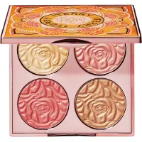 By Terry Brightening CC Palette