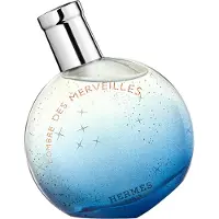 Hermès Paris Hermes Lombre Des Merveilles Refillable Eau De Parfum 30ml Unisex Spray
