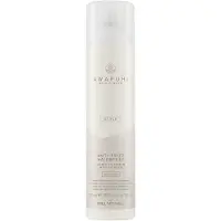 Paul Mitchell Awapuhi Wild Ginger Anti-Frizz Hairspray 307ml