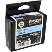 Epson T46S5 Blekkpatron lys cyan