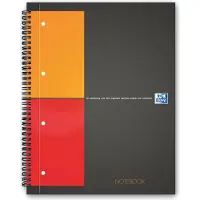 Oxford International A4+ - Notisbok - spiralbundet - 80 ark / 160 sider - hvitt papir - rutet - 4 hull - antrasittgrå deksel - laminert kartong