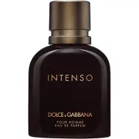 Dolce&Gabbana Intenso Pour Homme Edp Spray
